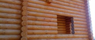 Photo of a log house treated with wood impregnation while it was standing