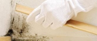 primer against fungus and mold