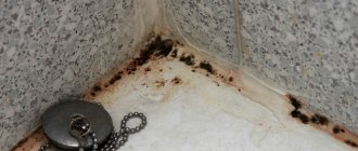 How to get rid of black mold - tips