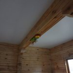 How to make a rough ceiling using wooden beams