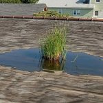 roof drains for flat roofs