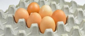 Chicken egg tray