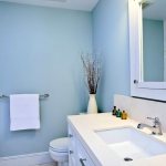 Painting walls in the bathroom: finishing features