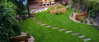 Step-by-step path through the lawn on a plot of 5 acres