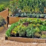 High beds allow you to create the most favorable conditions for growing vegetables, herbs and berries in small areas